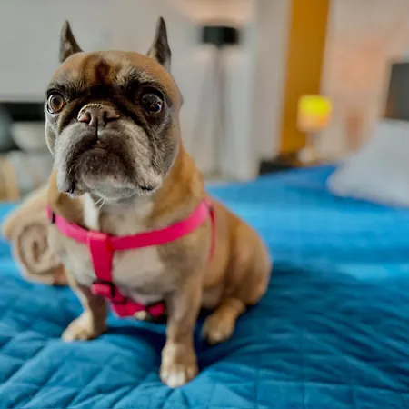 Modena Ξενοδοχείο 3*