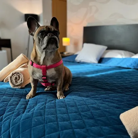 酒店 莫德纳酒店 布拉迪斯拉发