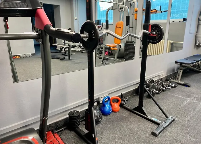 酒店 莫德纳酒店 3*