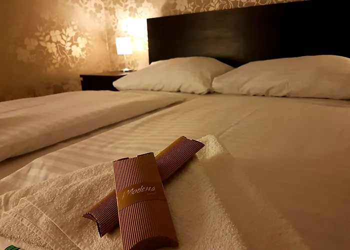 酒店 莫德纳酒店 3*