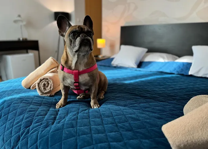 酒店 莫德纳酒店 布拉迪斯拉发